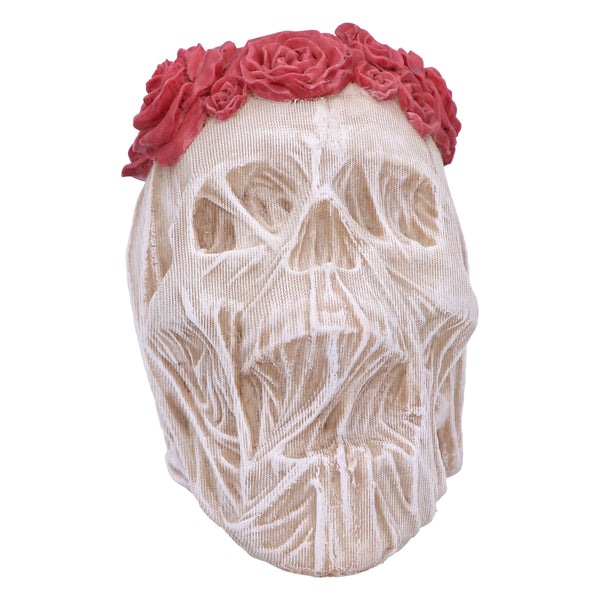 The Veil