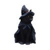 Bewitching