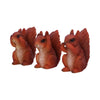 Three Wise Squirrels