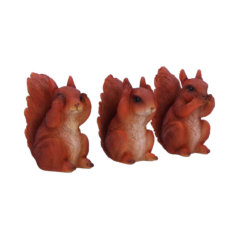 Three Wise Squirrels