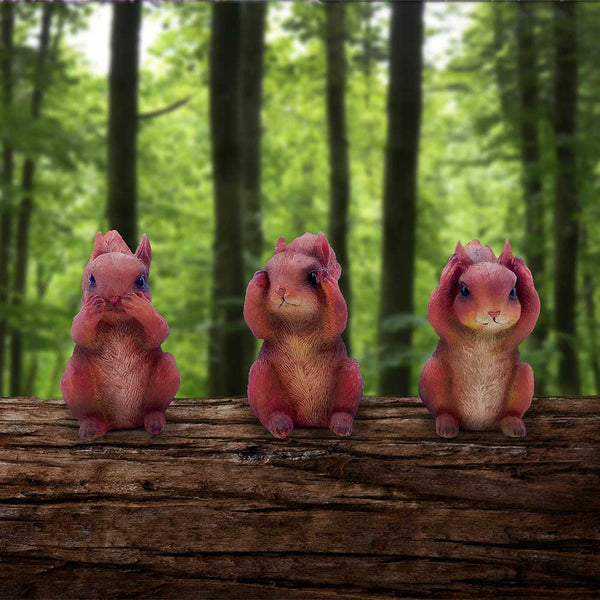 Three Wise Squirrels