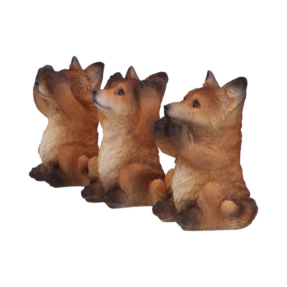 Three Wise Foxes