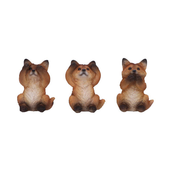 Three Wise Foxes