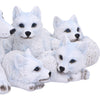 Pups Protection