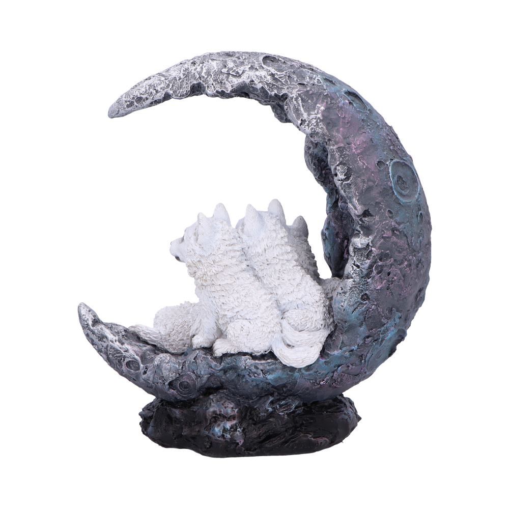 Moon Litter