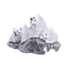 Winter Litter