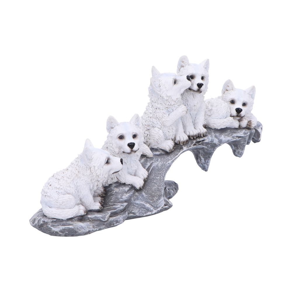 Winter Litter
