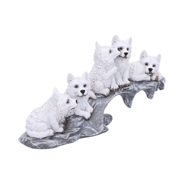 Winter Litter