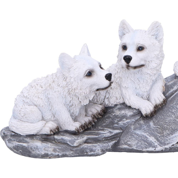 Winter Litter