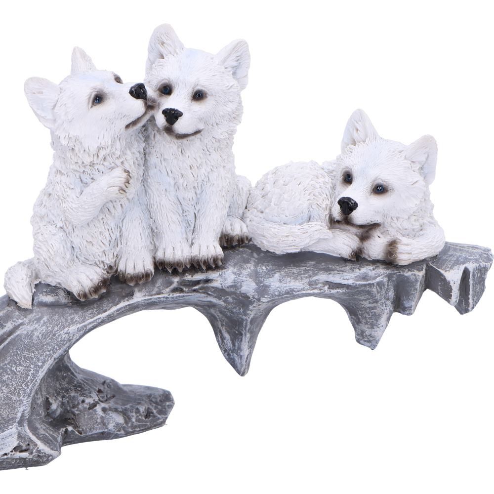 Winter Litter