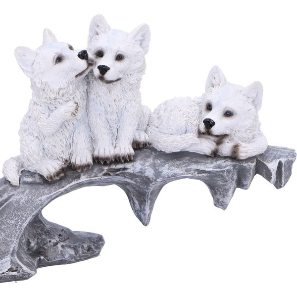 Winter Litter