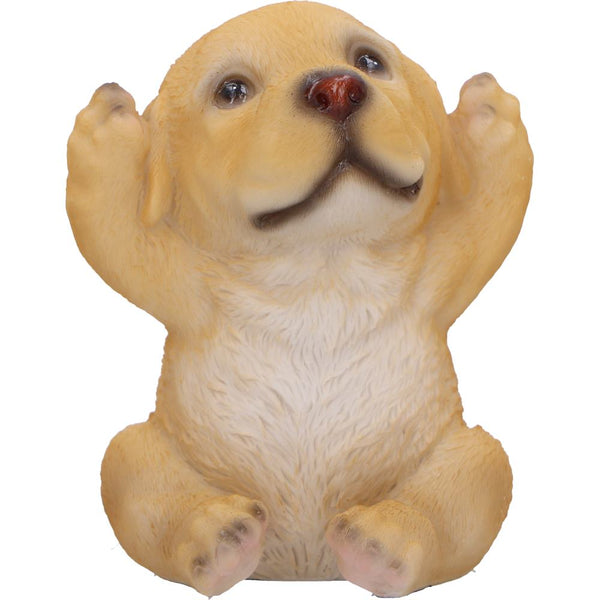 Three Wise Golden Labradors