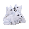 Cub Cuddle