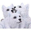 Cub Cuddle