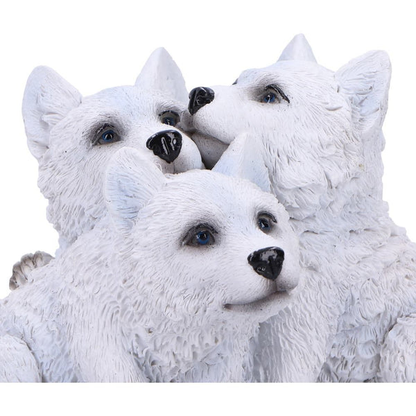 Cub Cuddle