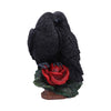 Raven Romance