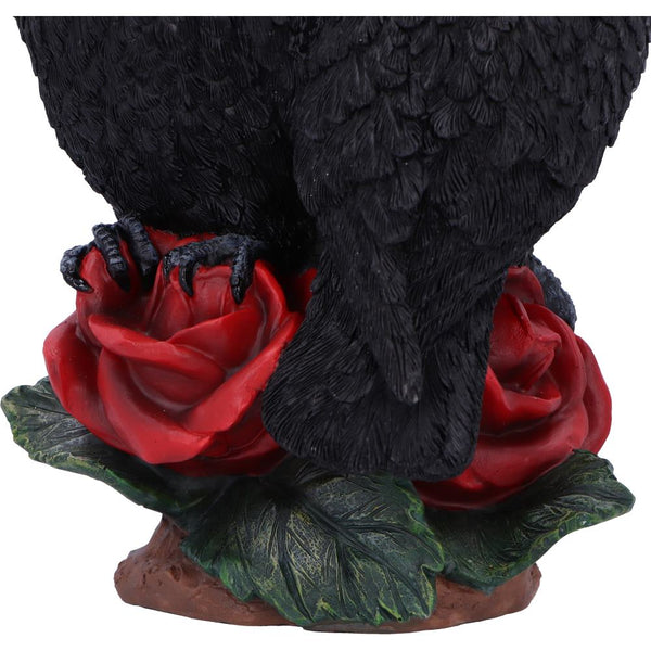 Raven Romance