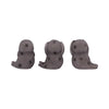 Three Wise Seals