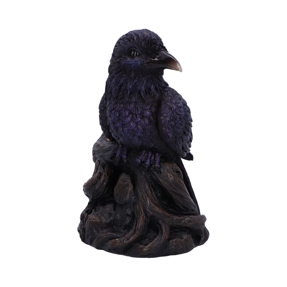 Raven Roost Backflow Burner