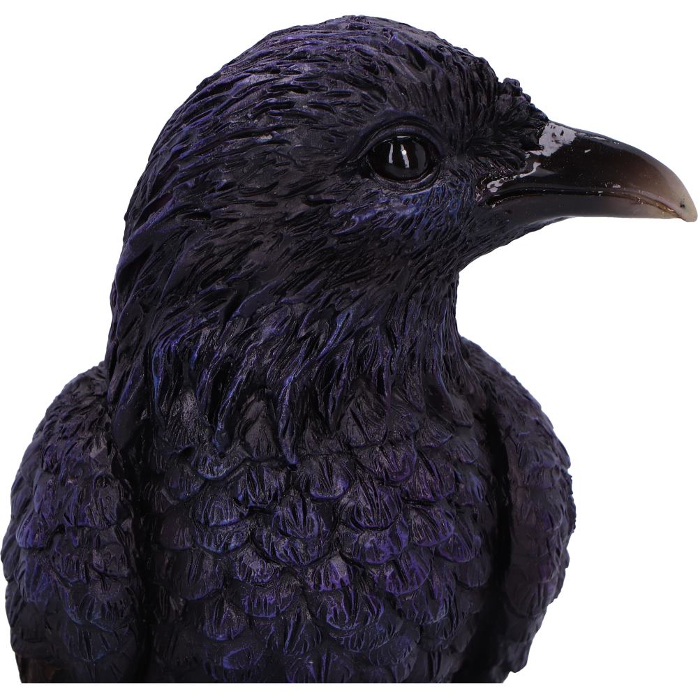 Raven Roost Backflow Burner