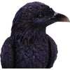 Raven Roost Backflow Burner
