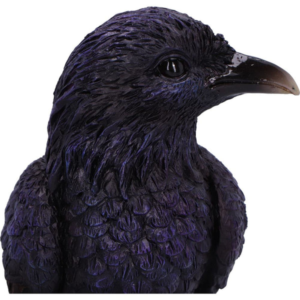 Raven Roost Backflow Burner