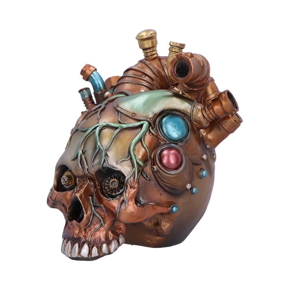 Cardiac Cranium