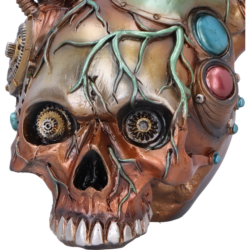 Cardiac Cranium