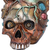 Cardiac Cranium
