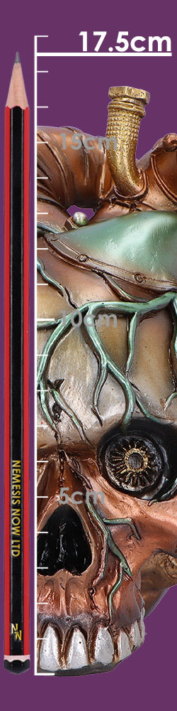 Cardiac Cranium