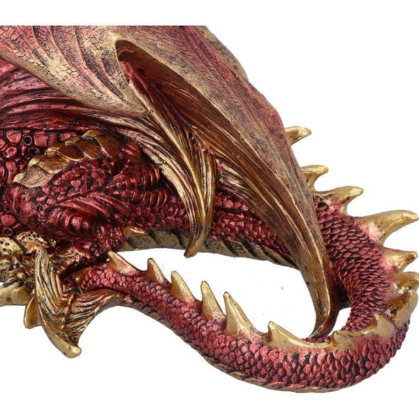 Aaden (Large)