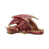 Aaden (Large)