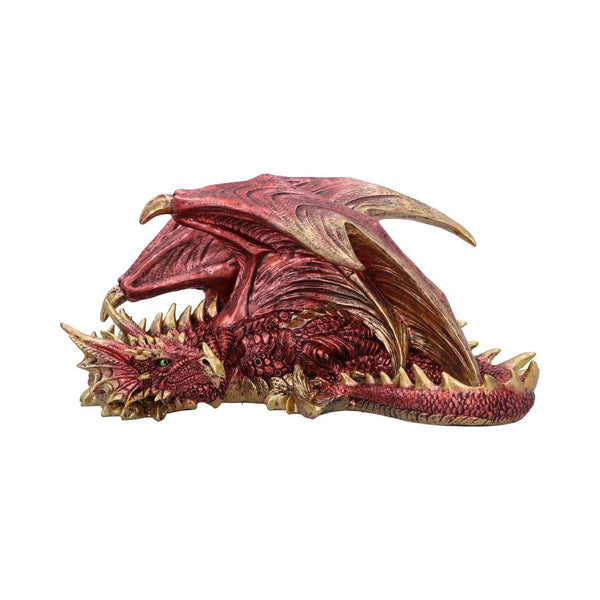 Aaden (Large)
