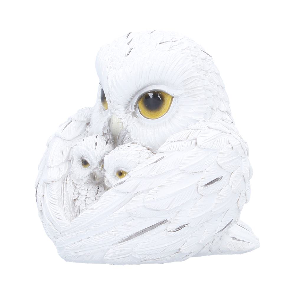 Feathered Nest