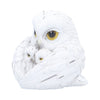 Feathered Nest