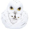 Feathered Nest