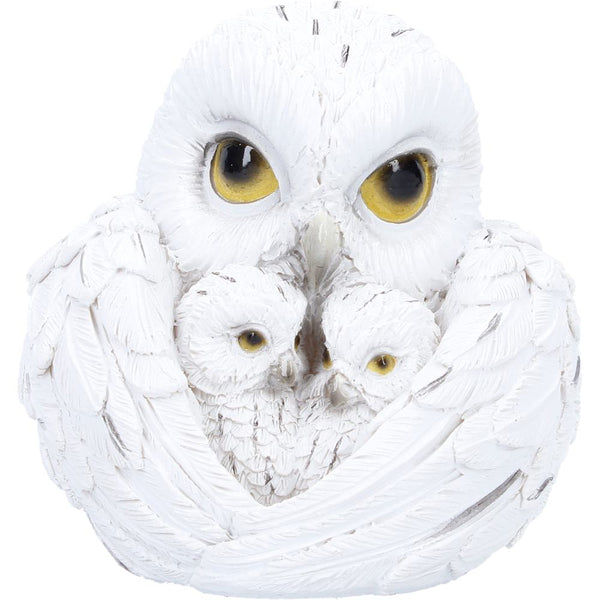Feathered Nest