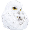 Feathered Nest