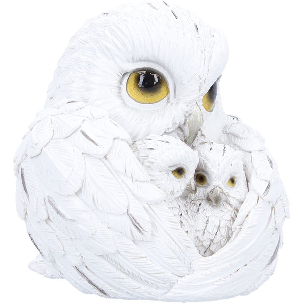 Feathered Nest