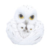 Feathered Nest