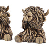 Three Wise Gold Highland Cows
