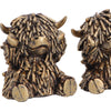 Three Wise Gold Highland Cows