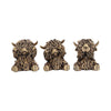 Three Wise Gold Highland Cows