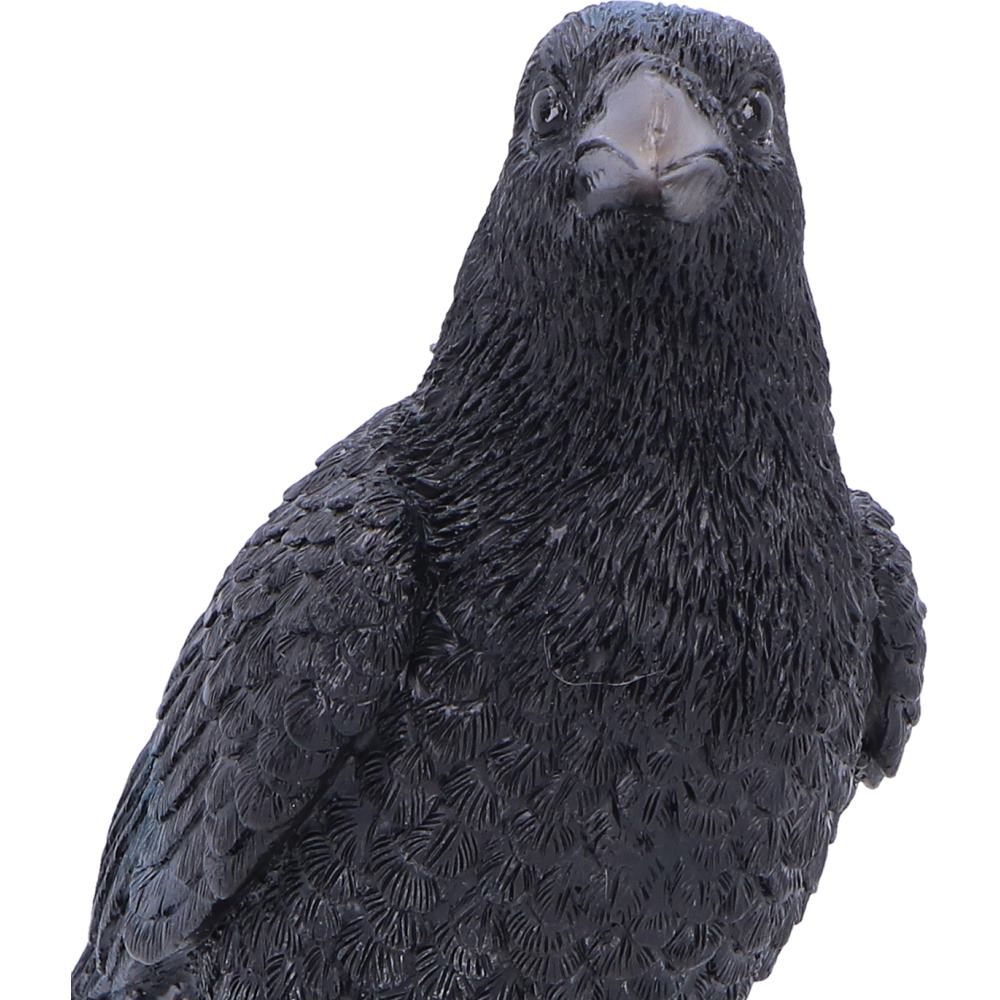 Nevermore Vigil