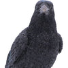 Nevermore Vigil