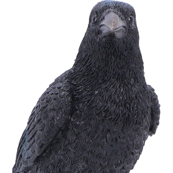 Nevermore Vigil