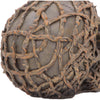 Rooted Remains
