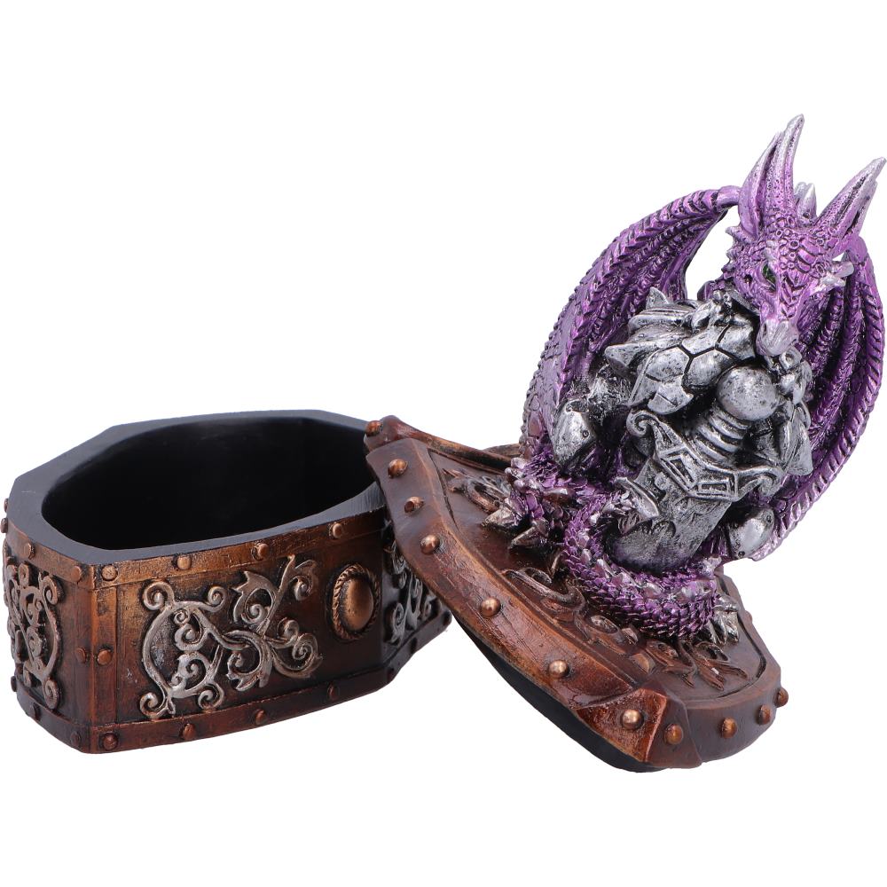 Hoard Protector Box - Purple