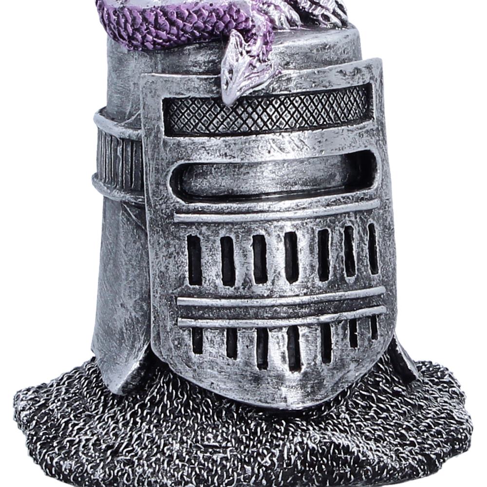 Hatchling Helm -  Purple