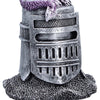 Hatchling Helm -  Purple